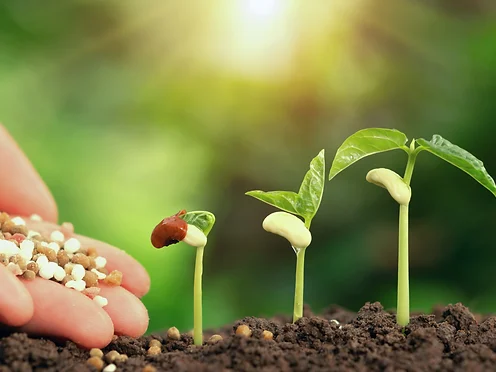 82fbc9_77383151e5624266bde286b32699f3dc~mv2