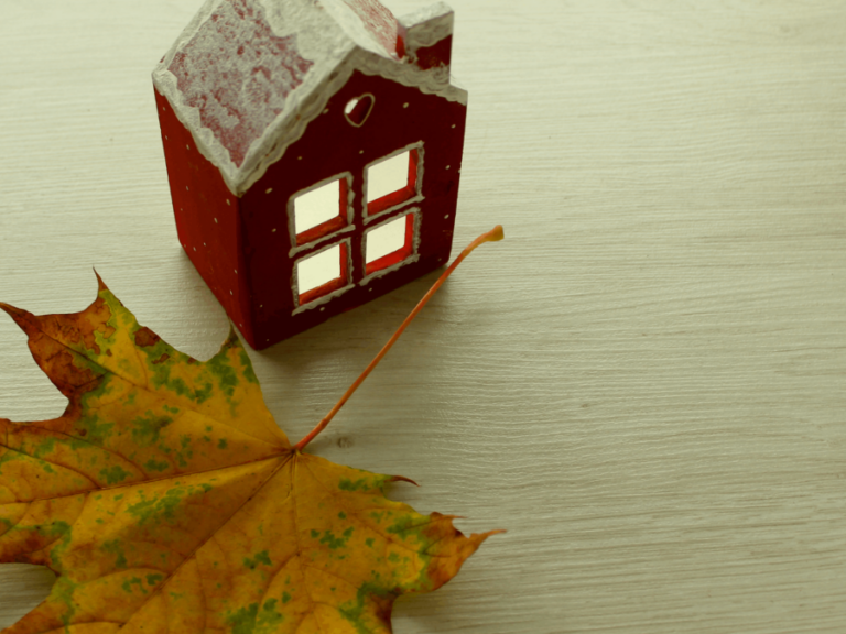 Découvrez les dernières décisions en faveur de nos entreprises