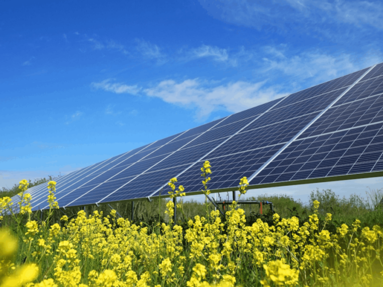 Décisions décembre 2023